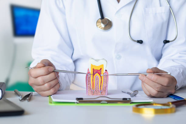 Best Emergency Care for Gum Disease in Windsor Heights, IA